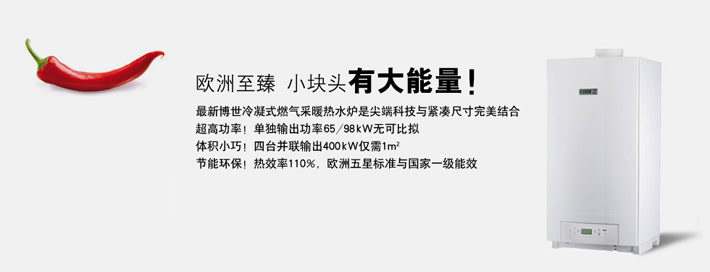 德国博世欧洲至臻冷凝壁挂炉